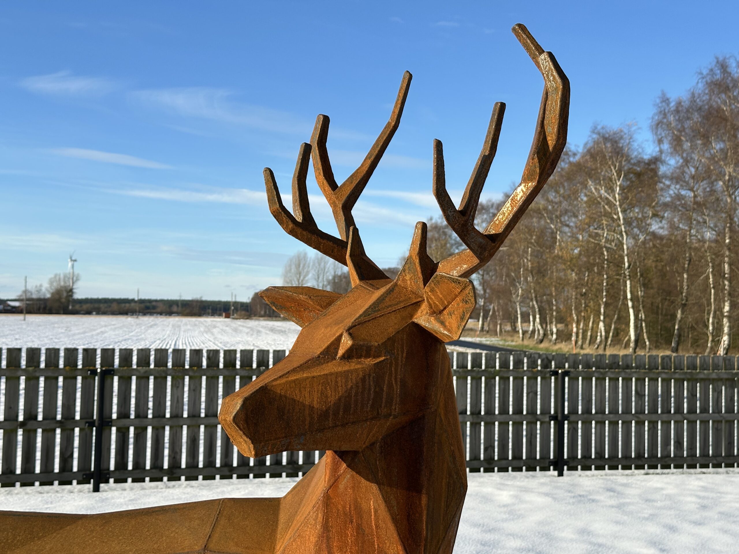 Hjort modell 2 vinkel 4