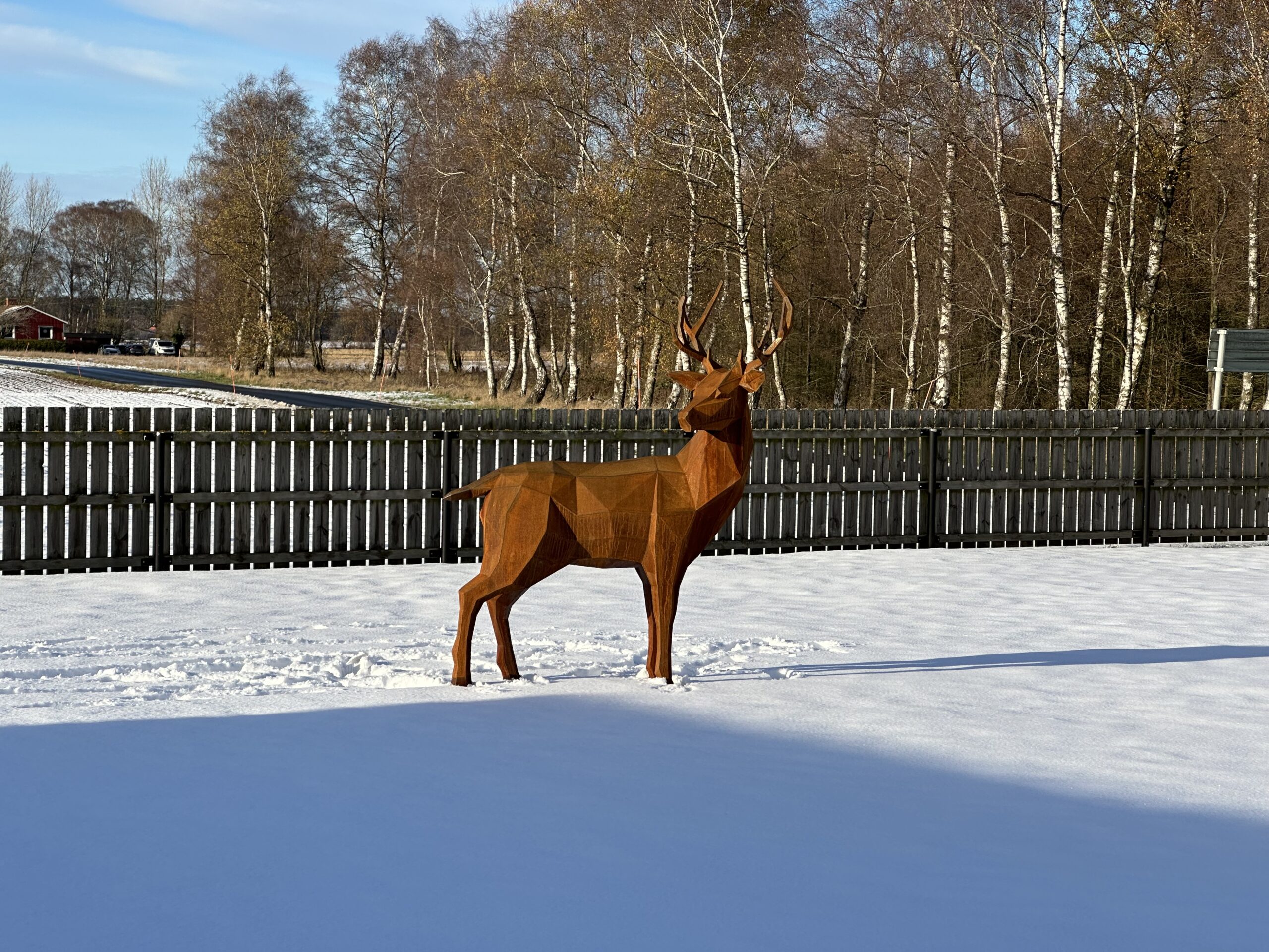 Hjort modell 2 vinkel 3