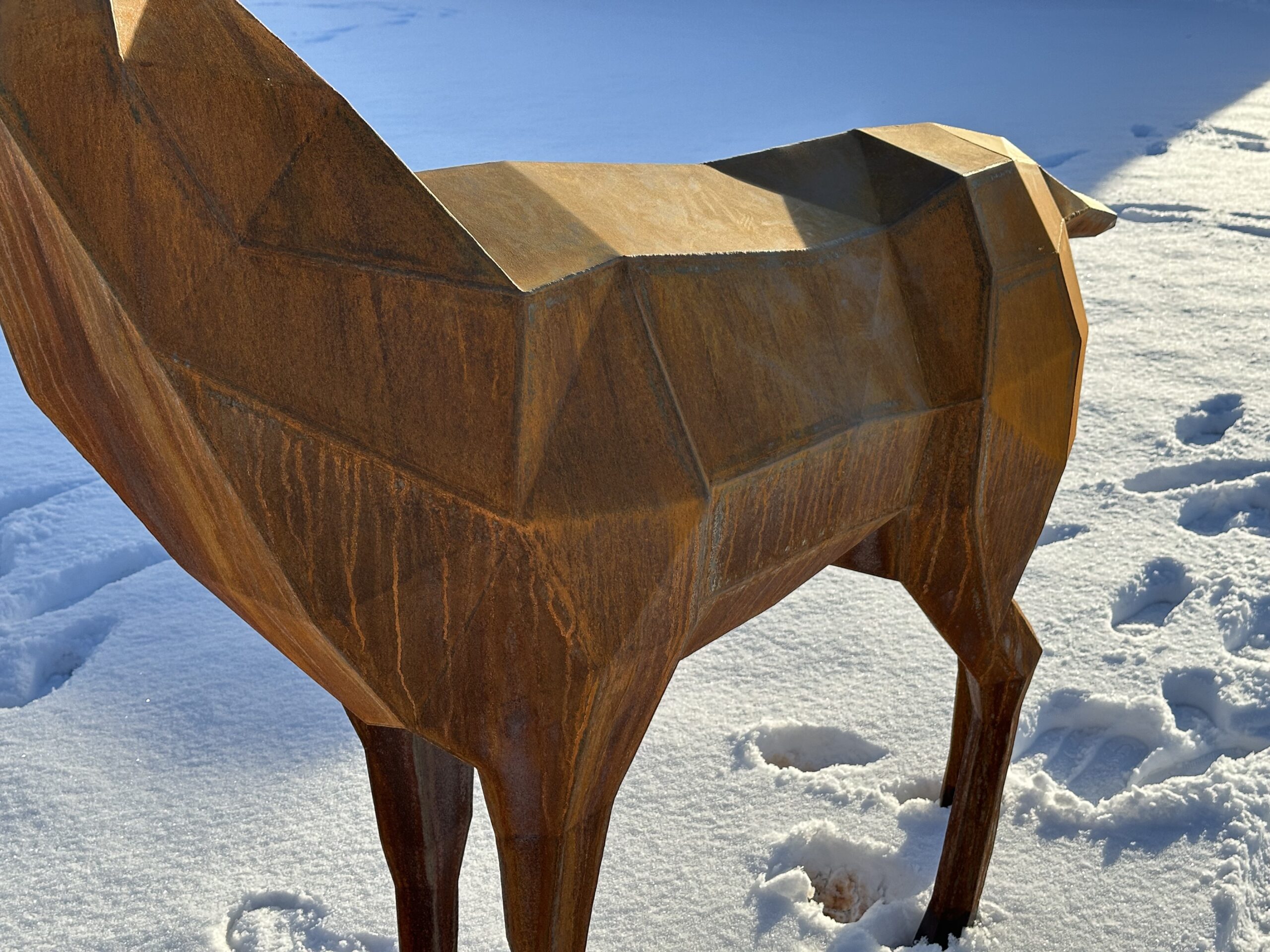 Hjort modell 2 vinkel 1